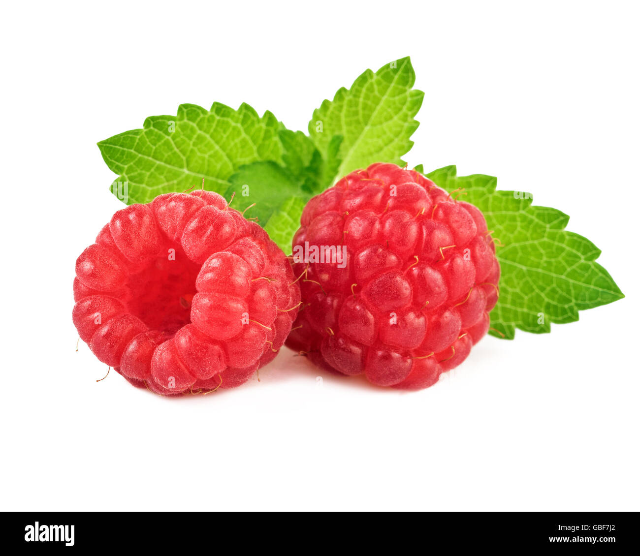 Raspberries with mint leaf. Closeup. Stock Photo