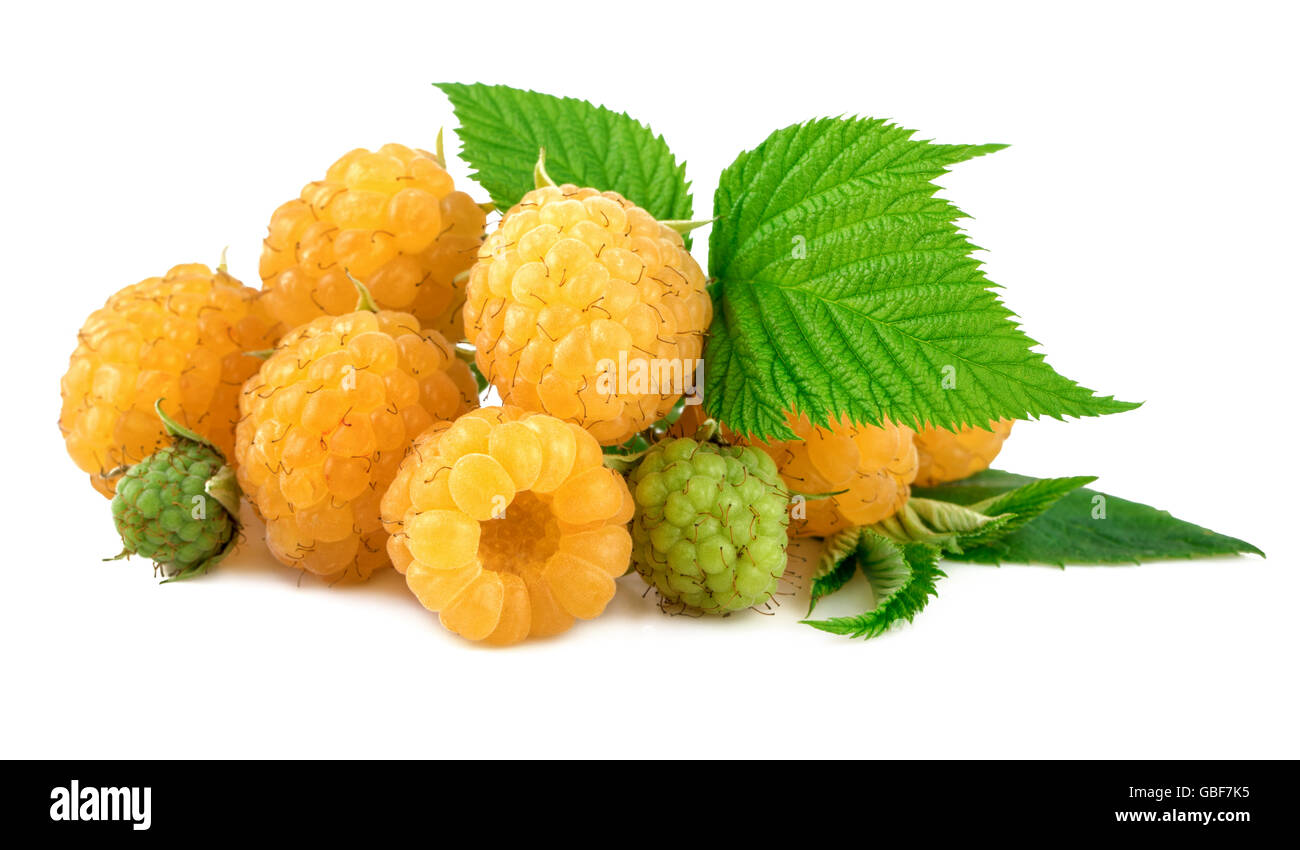 Yellow Raspberry Garden High Resolution Stock Photography and Images ...