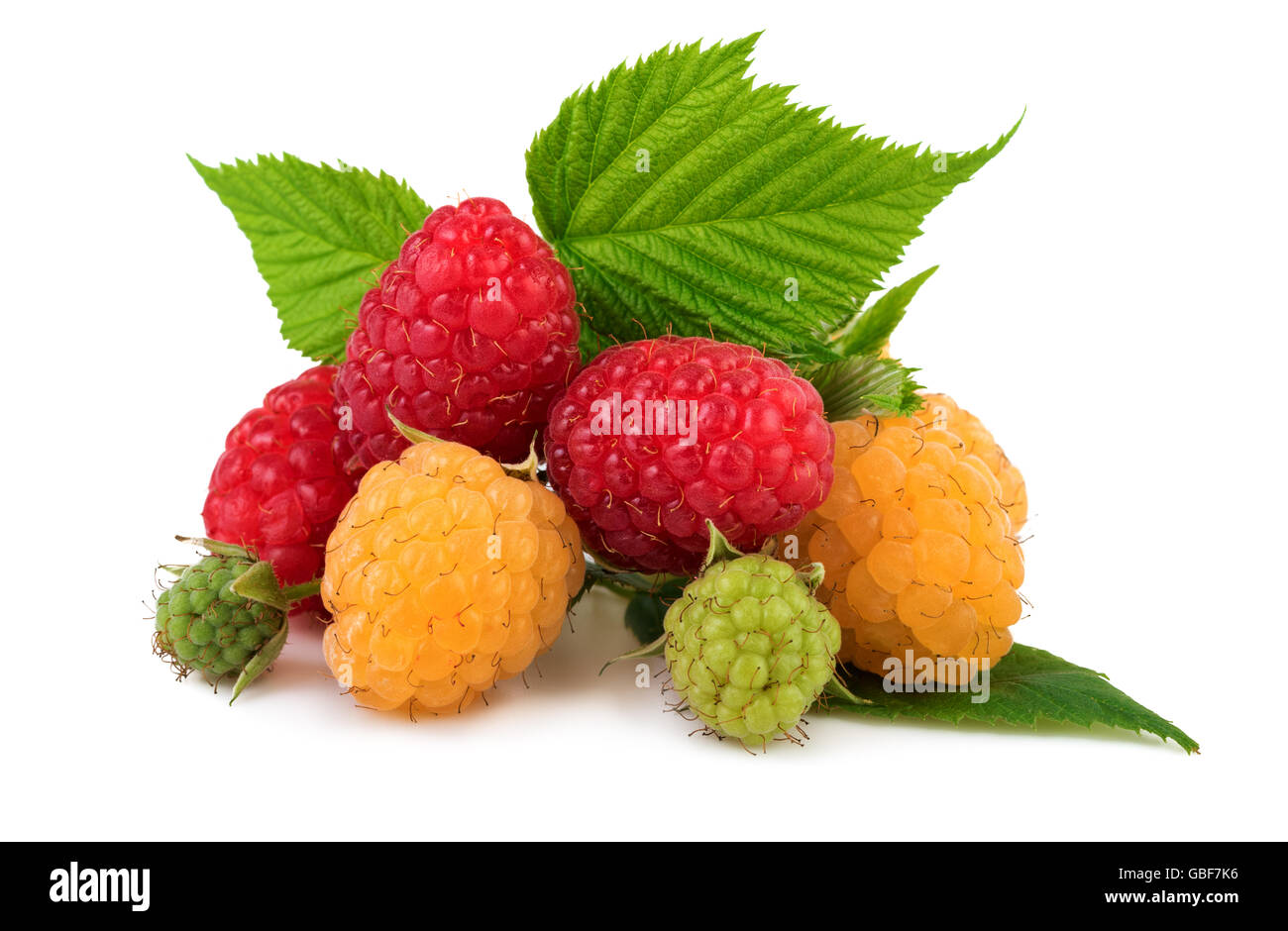 Red Andyellow Raspberry raspberries red and yellow Stock Photo - Alamy