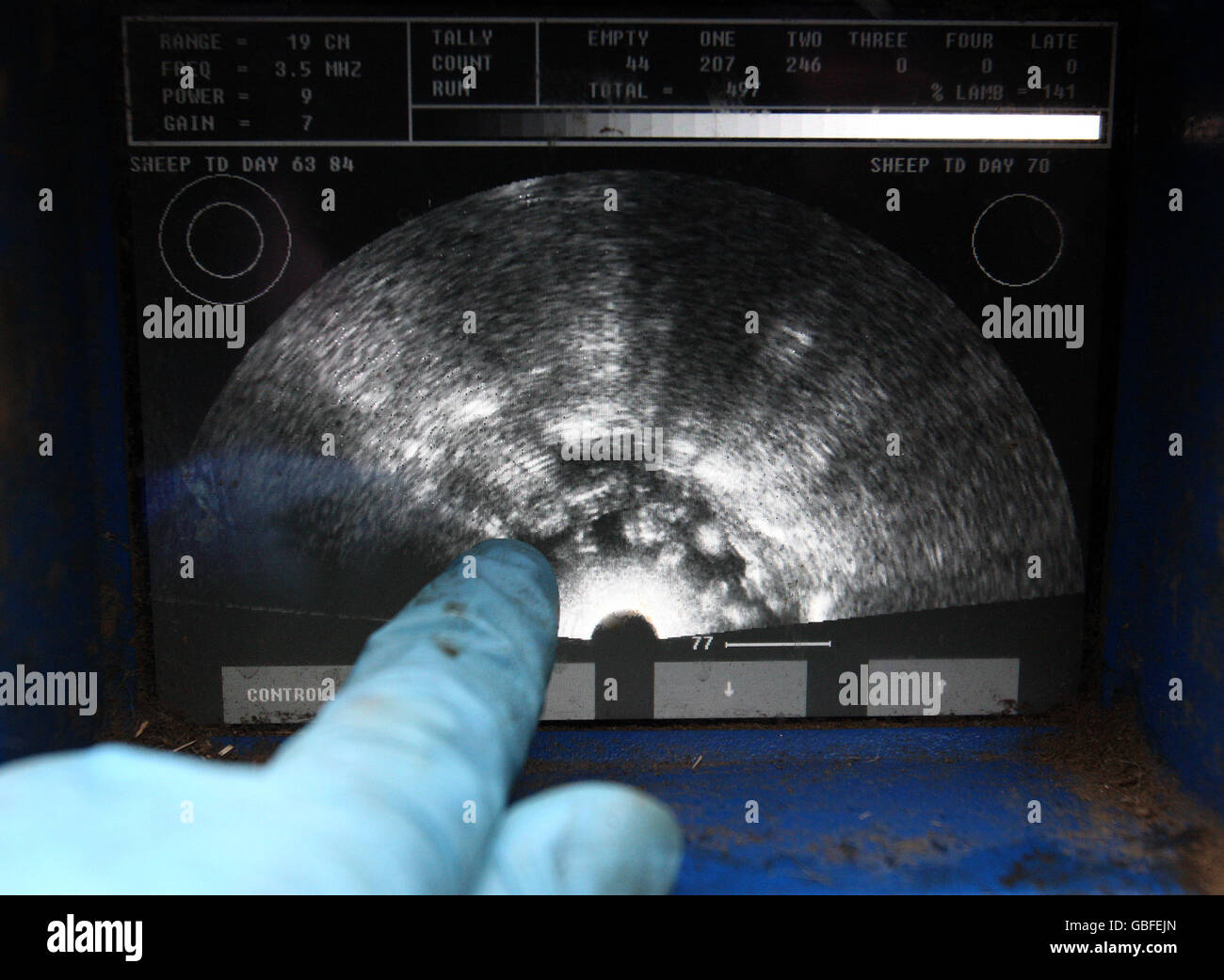 Sheep Scanner Andrew McGillivray points to a lamb on the screen using a