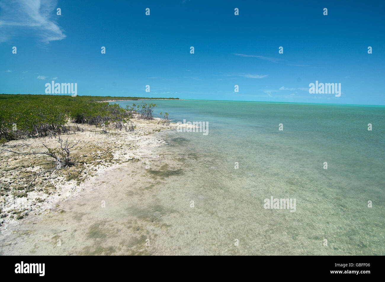 A large bonefish flat at low tide offers plenty of shrimp and blue crabs along the sandy bottom in the Turks & Caicos Islands Stock Photo