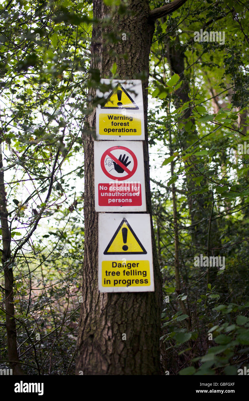 Timber operation signs in Straight Neck woods in Derwentside County Durham. Stock Photo