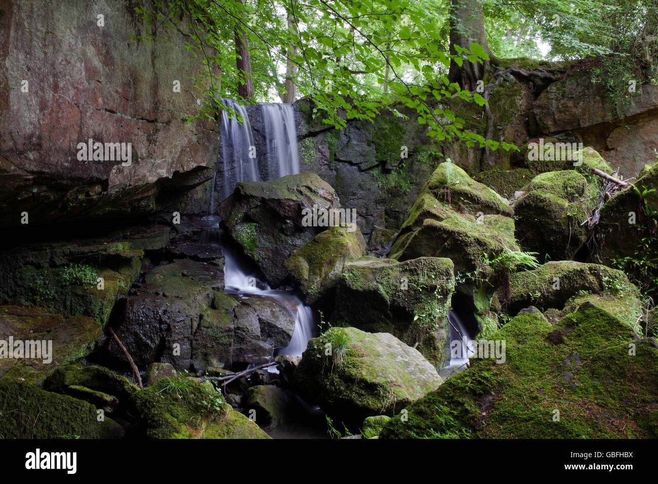 The Pont Burn waterfall in county Durham. Stock Photo