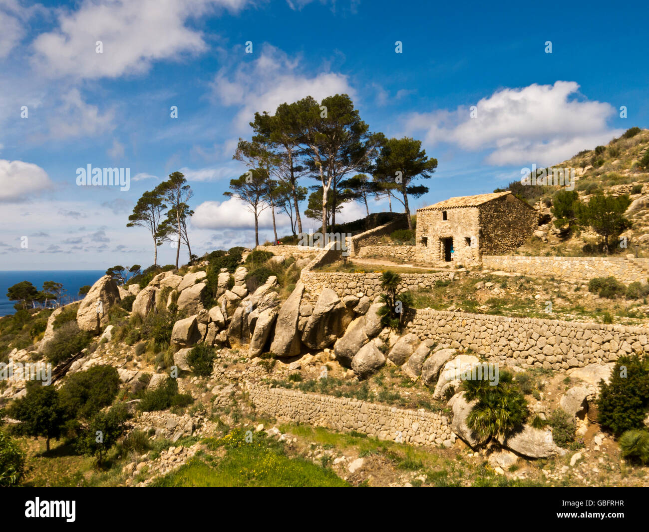 Trapa hi-res stock photography and images - Alamy