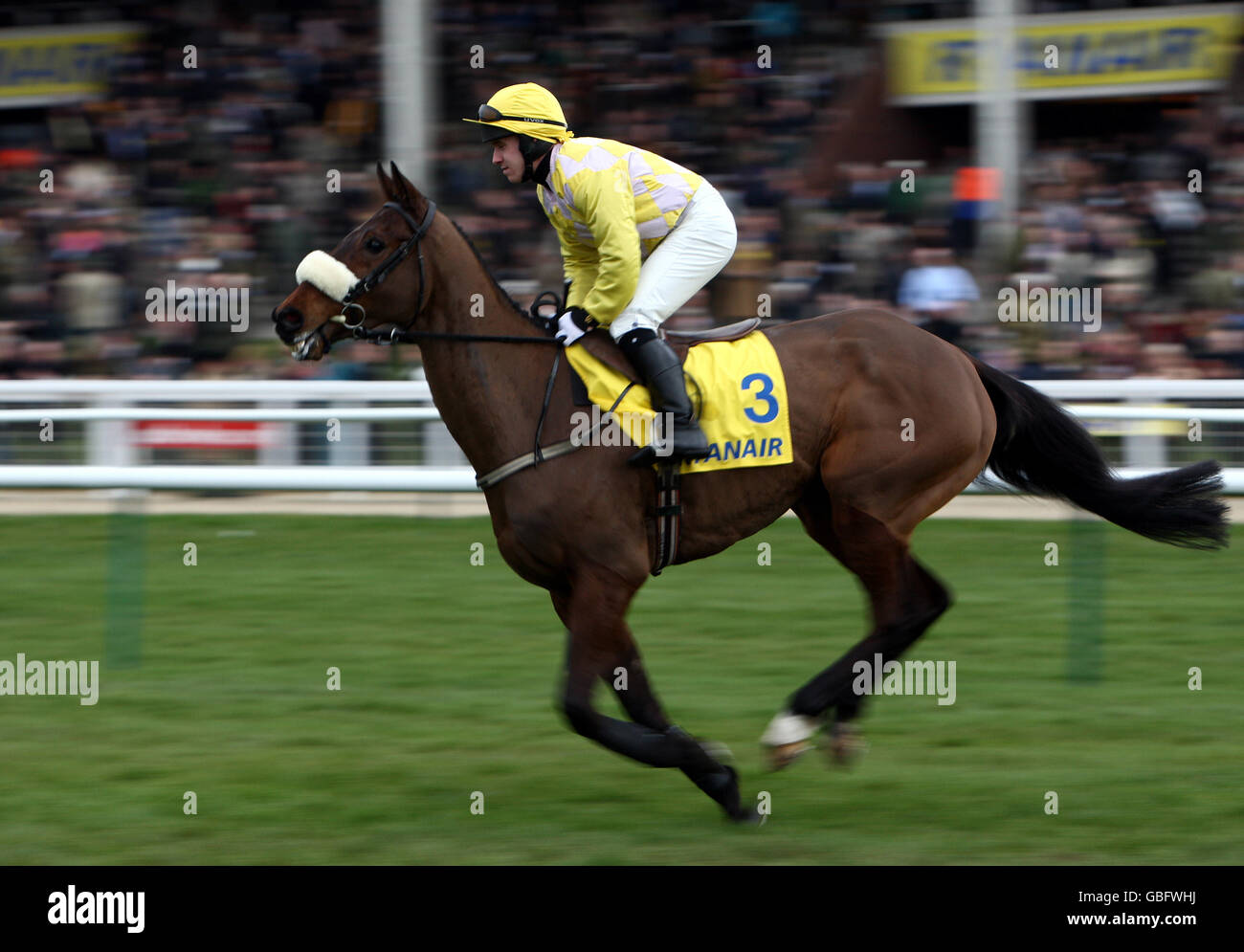 Horse Racing - Cheltenham Festival 2009 - Day Three - Cheltenham Racecourse. Knight's Legend ridden by A.D. Leigh in the Ryanair Steeple Chase at Cheltenham Racecourse, Cheltenham. Stock Photo