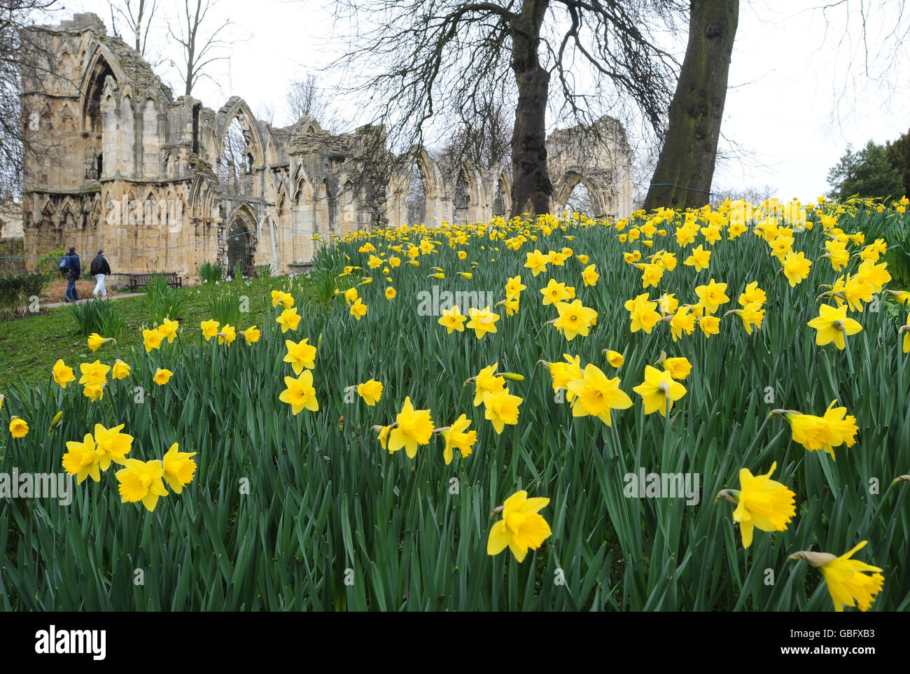 Lmrecentpic2 hi-res stock photography and images - Alamy