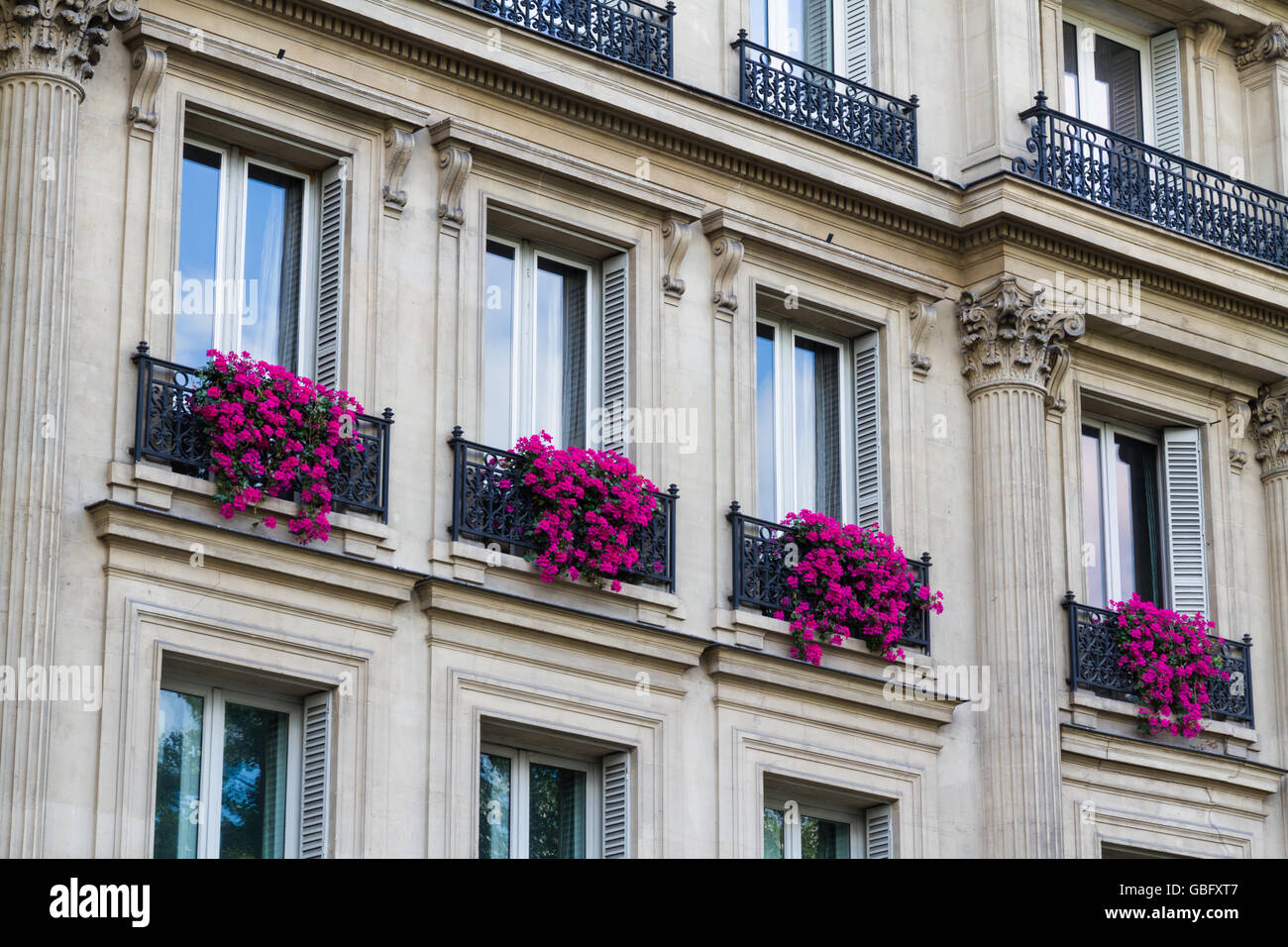 Paris Photo, Paris Window Box, agrohort.ipb.ac.id