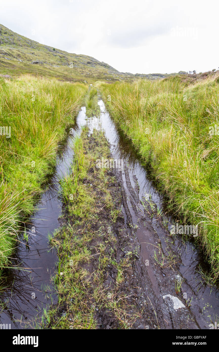 The course of a narrow gauge railway, which carried slate from mines to