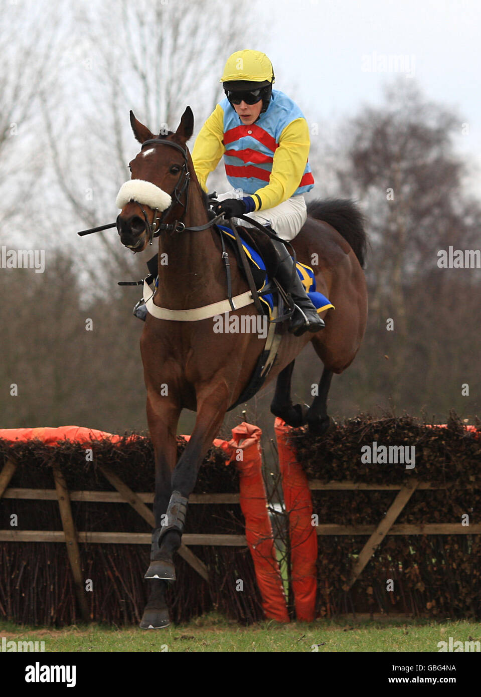 Horse Racing Fakenham Racecourse Stock Photo Alamy