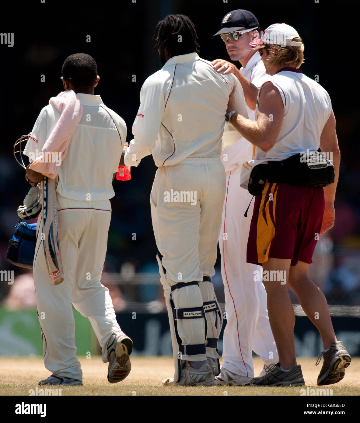 Jamaican field cricket hires stock photography and images Alamy