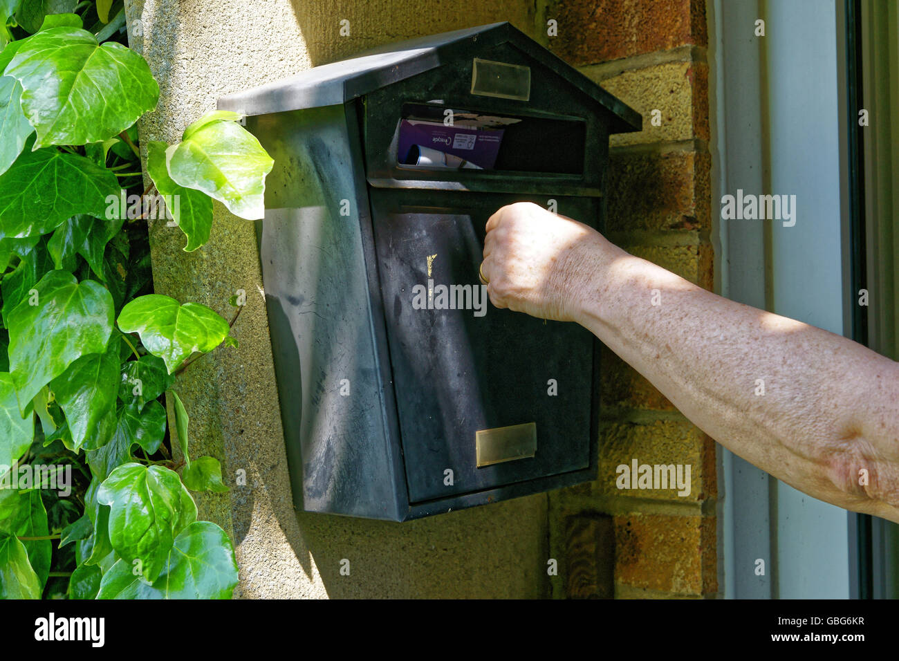 taking mail out of domestic mailbox Stock Photo Alamy