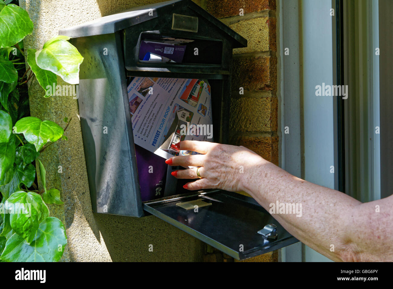 taking junk mail out of domestic mailbox Stock Photo Alamy