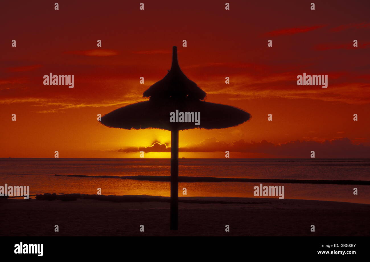 a sunset on a beach on the island of Mauritius in the indian ocean ...
