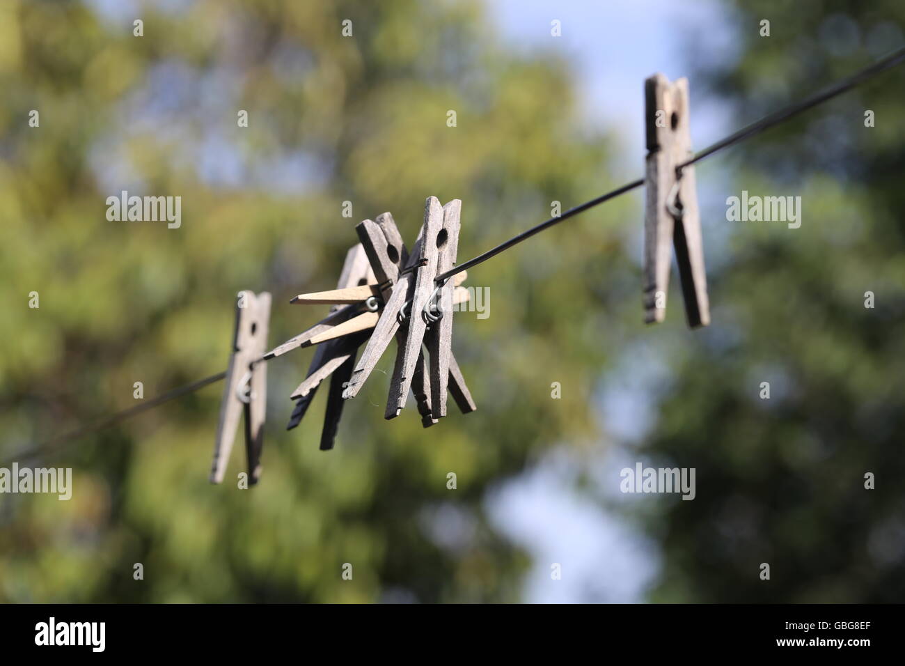 Wooden Clothespins Hanged on a Clothesline. Group of old wooden laundry sticks hanged on an iron clothe line after long time with no use. Clothesline Stock Photo