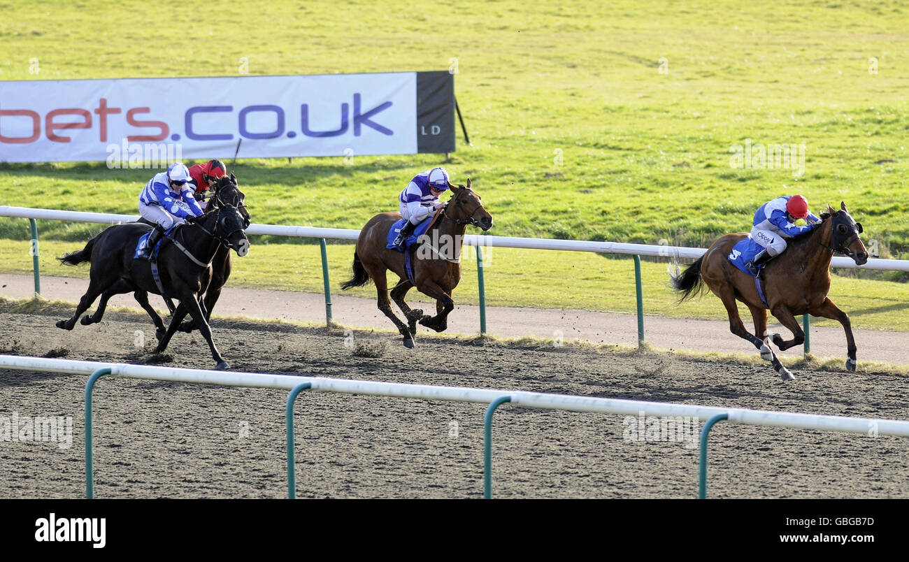 Bee Stinger ridden by Neil Callan easily win The freebets.co.uk Grand National Free Bets Handicap Stakes at Lingfield Park Racecourse, Surrey. Stock Photo