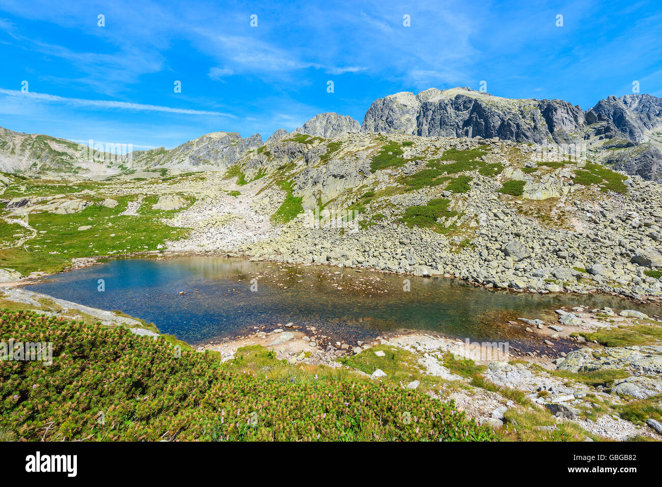 View of beautiful alpine lake in summer landscape of Starolesna valley, High Tatra Mountains, Slovakia Stock Photo