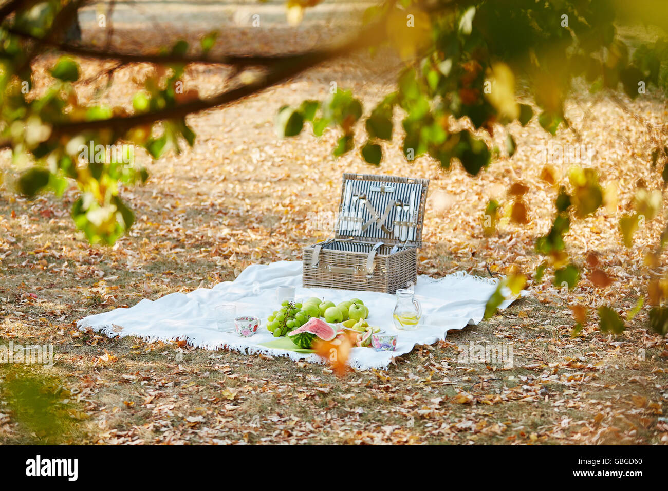 Picnic basket with fruit in the park in summer Stock Photo - Alamy