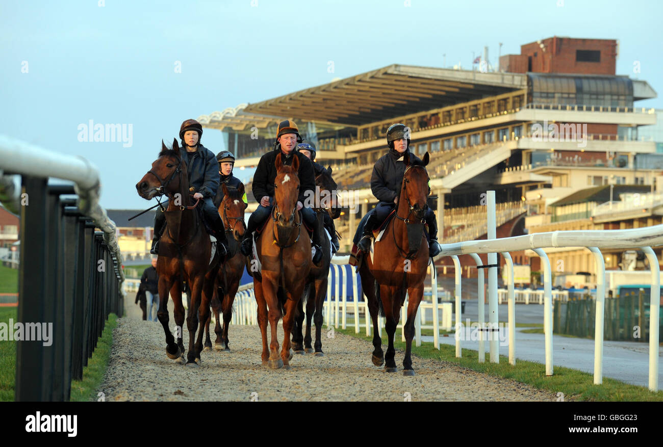 Horses trainer dessie hughes make way to gallops cheltenham racecourse