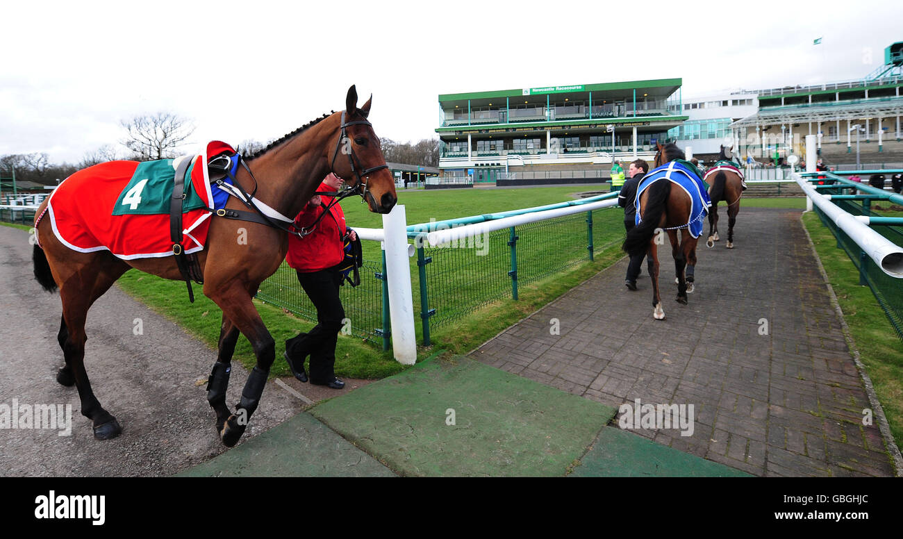 Horse Racing Newcastle Racecourse Stock Photo Alamy
