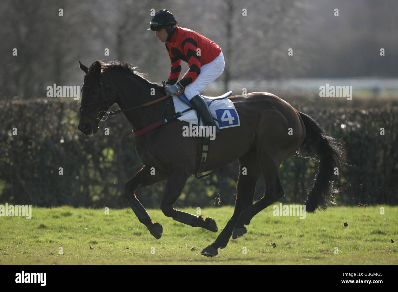 Stockton Racecourse High Resolution Stock Photography And Images Alamy