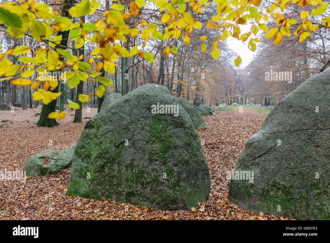 Megalithic chambered tomb, Wildeshausener Geest, about 3400 before Christ, Visbek, Lower Saxony, Germany Stock Photo