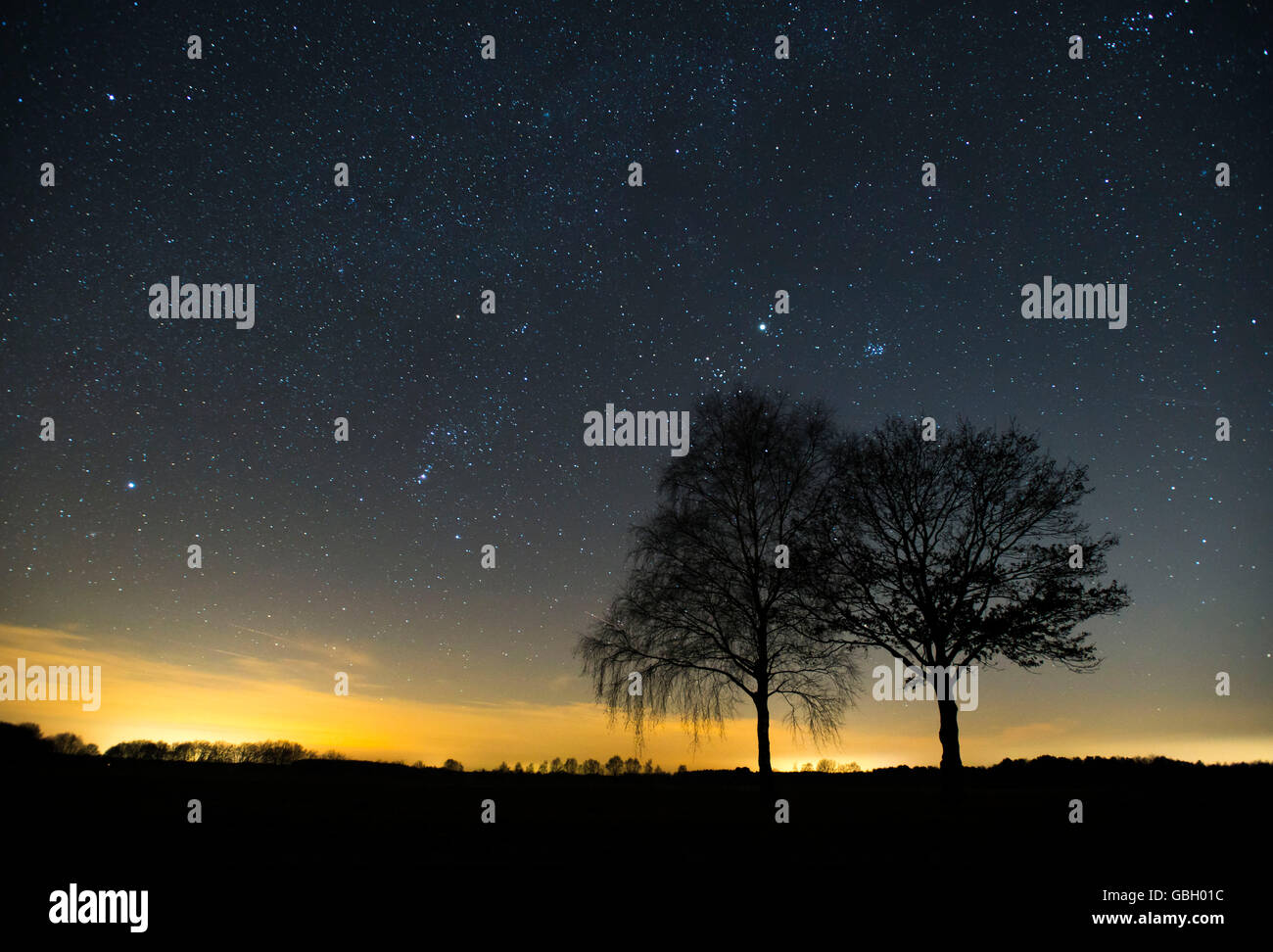 Starry sky, Vechta, Lower Saxony, Germany Stock Photo