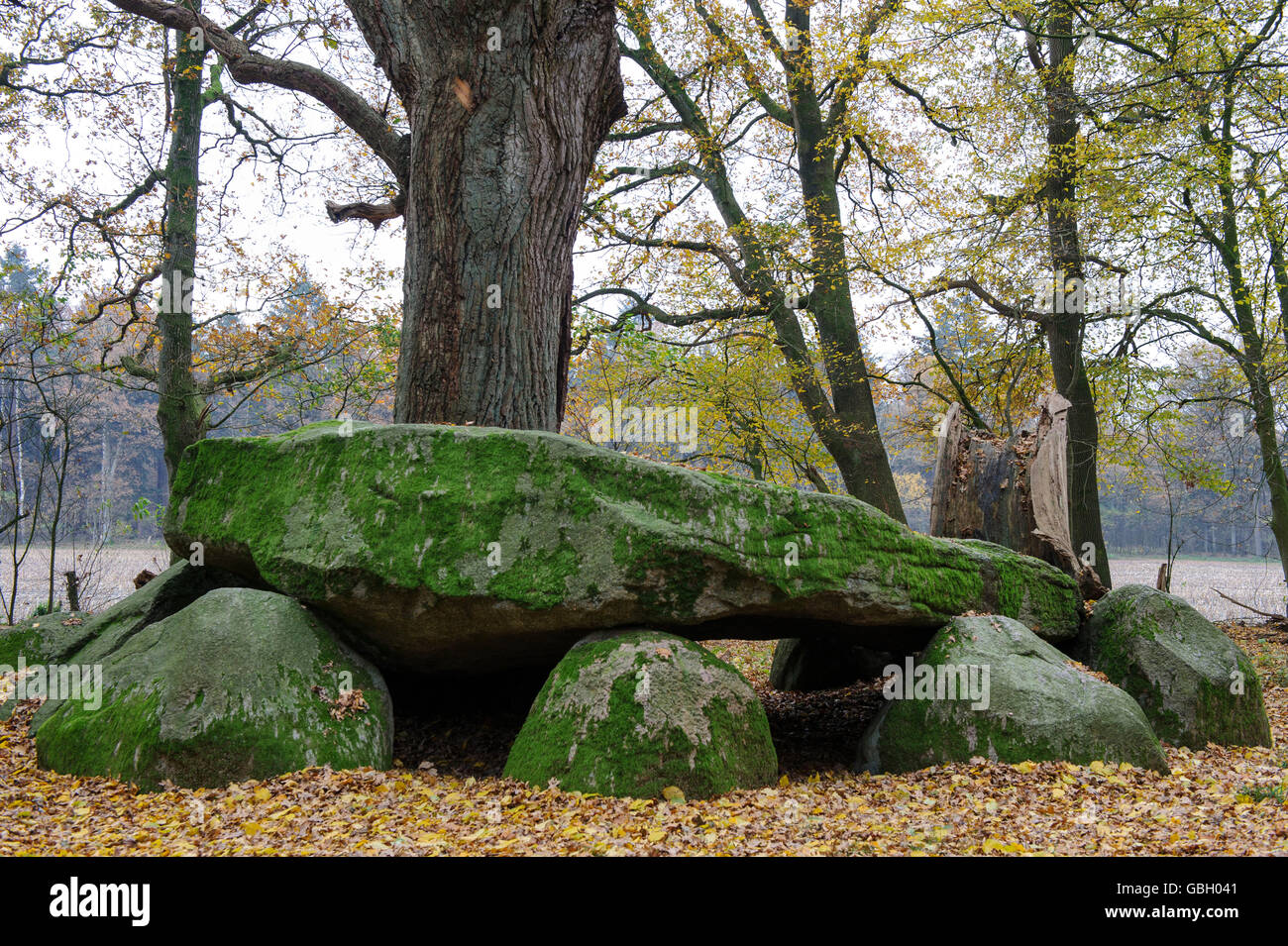 Megalithic chambered tomb, about 3400 before Christ, Visbek, Lower Saxony, Germany Stock Photo
