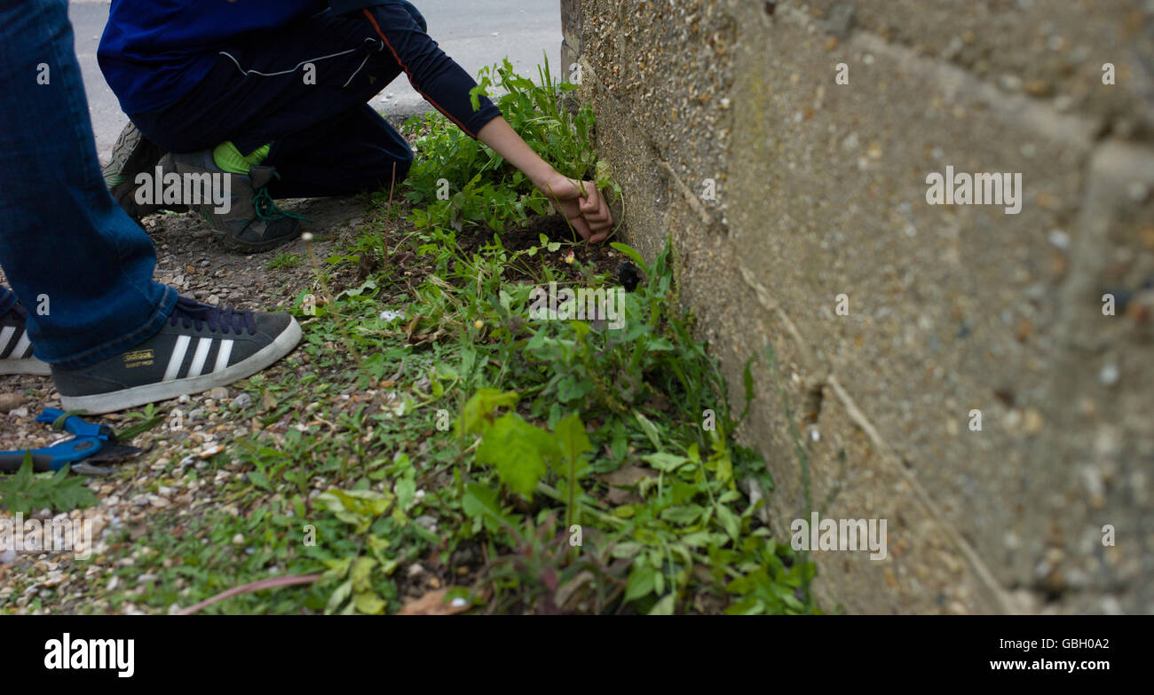 Young child weeds garden Stock Photo - Alamy