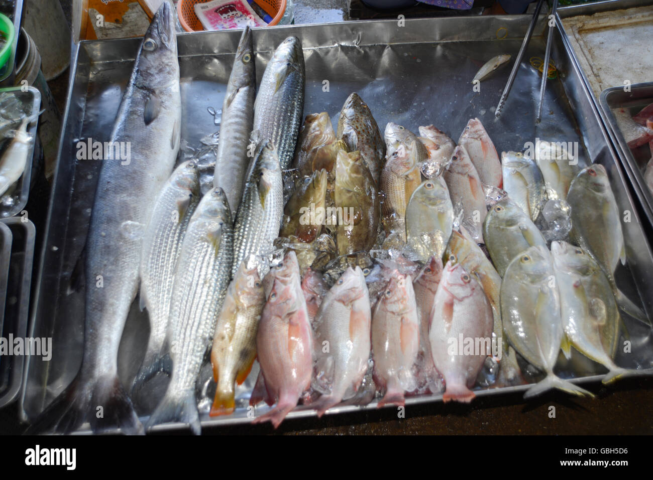 fresh fisch at takua pa market Thailand Stock Photo