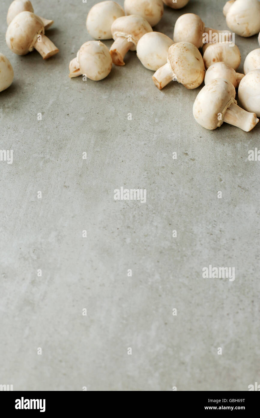 Mushrooms Stock Photo