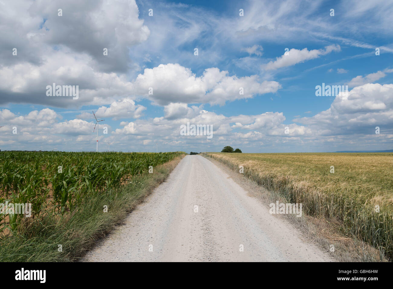 dusty Road through the fields in a dry summer Stock Photo