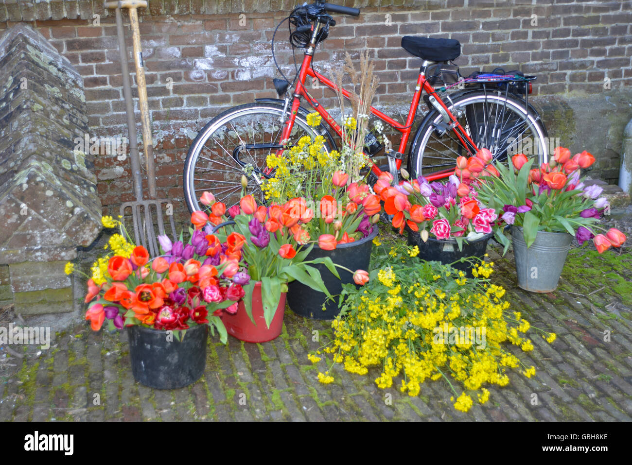 spring flower bouquets in front of bicycle in a garden Stock Photo