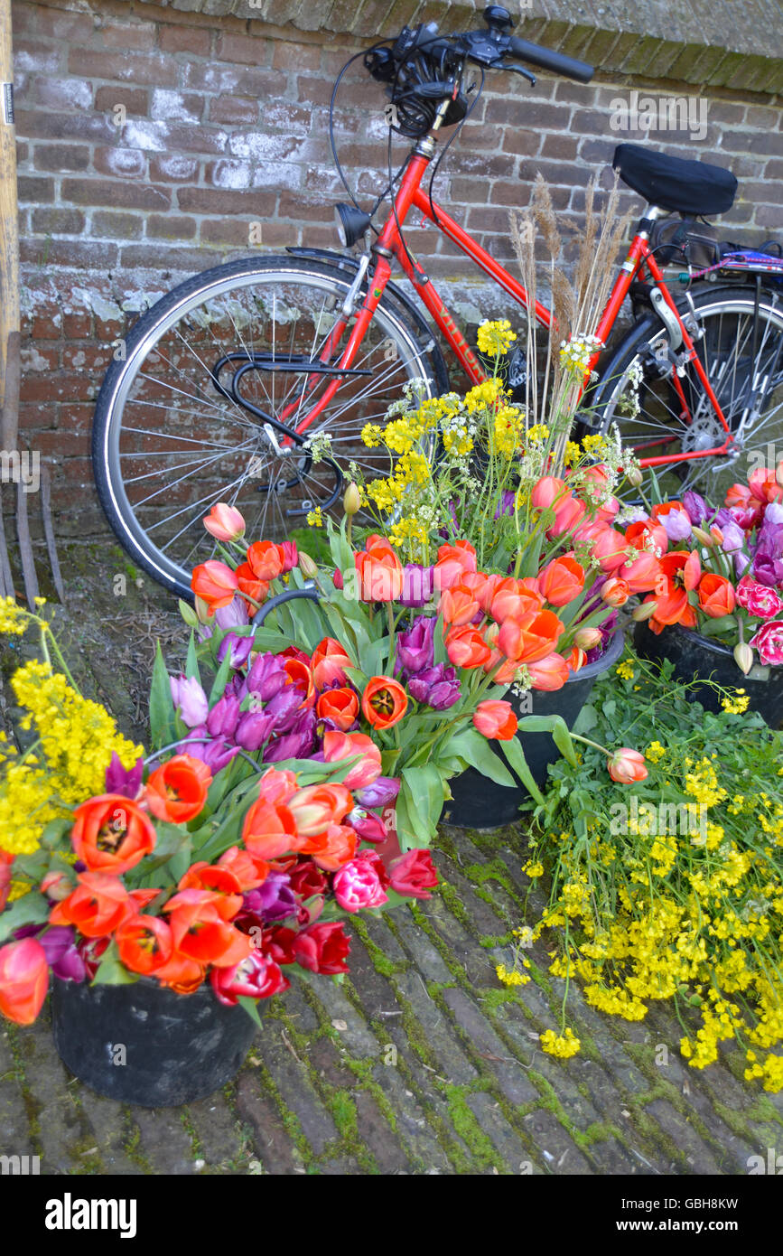 spring flower bouquets in front of bicycle in a garden Stock Photo