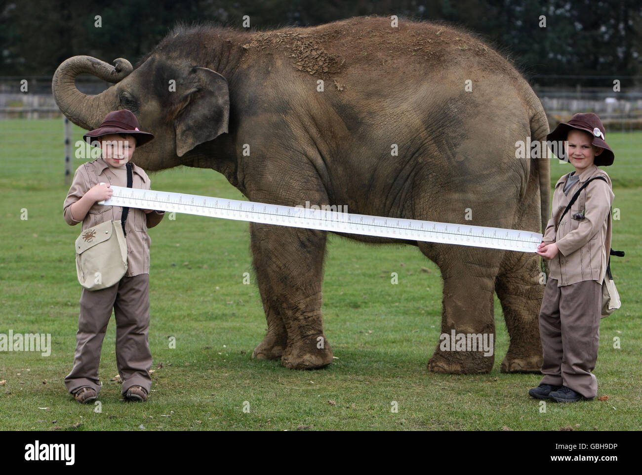 New big five experience opens at whipsnade hires stock photography and