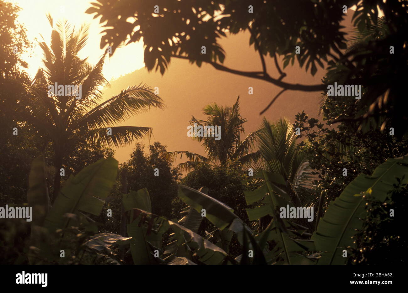 the mountain Landscape on the Island of Anjouan on the Comoros Ilands ...