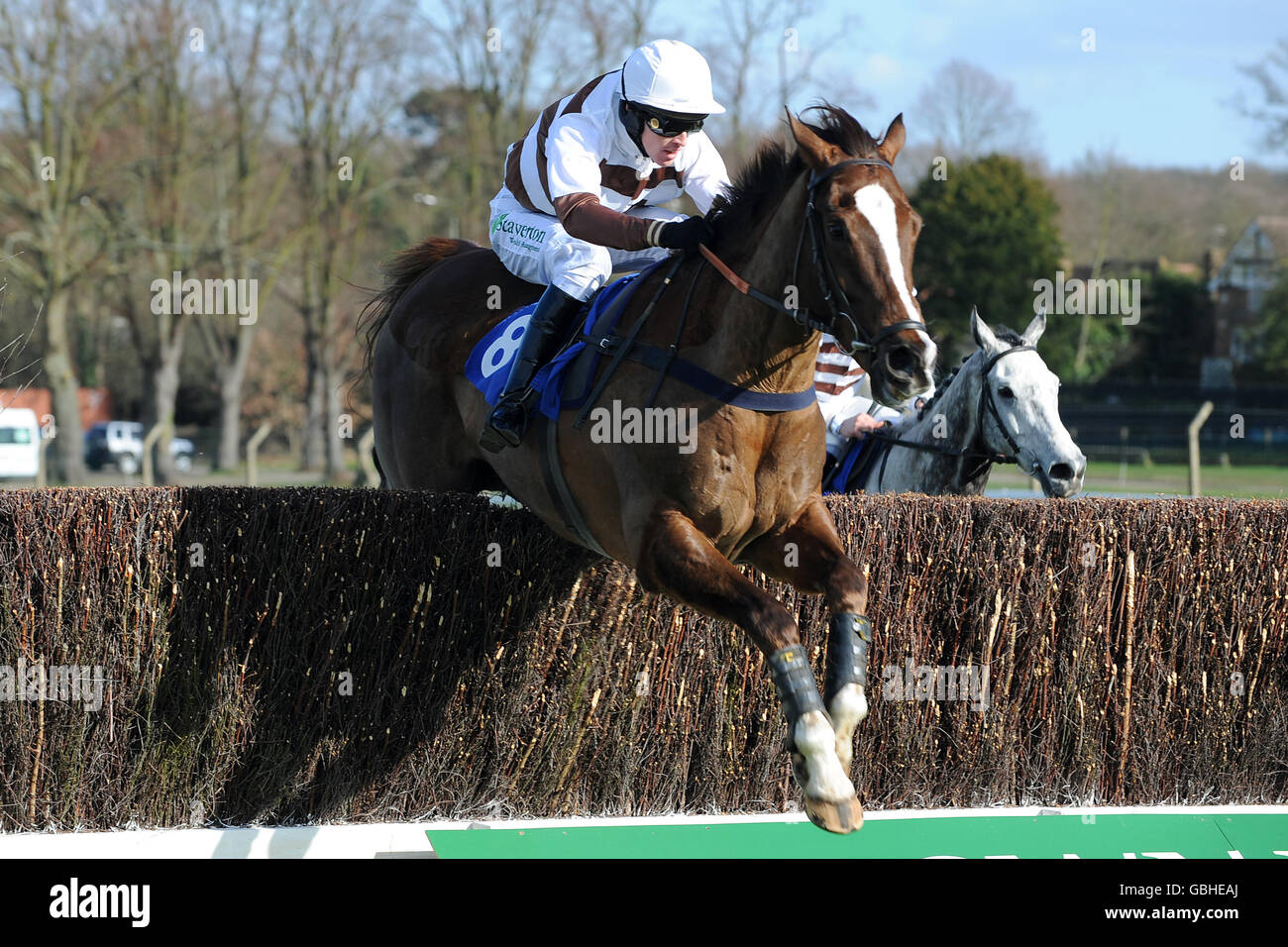 Thedreamstillalive ridden by jockey Jason Maguire in action during the Thales Handicap Chase. Stock Photo