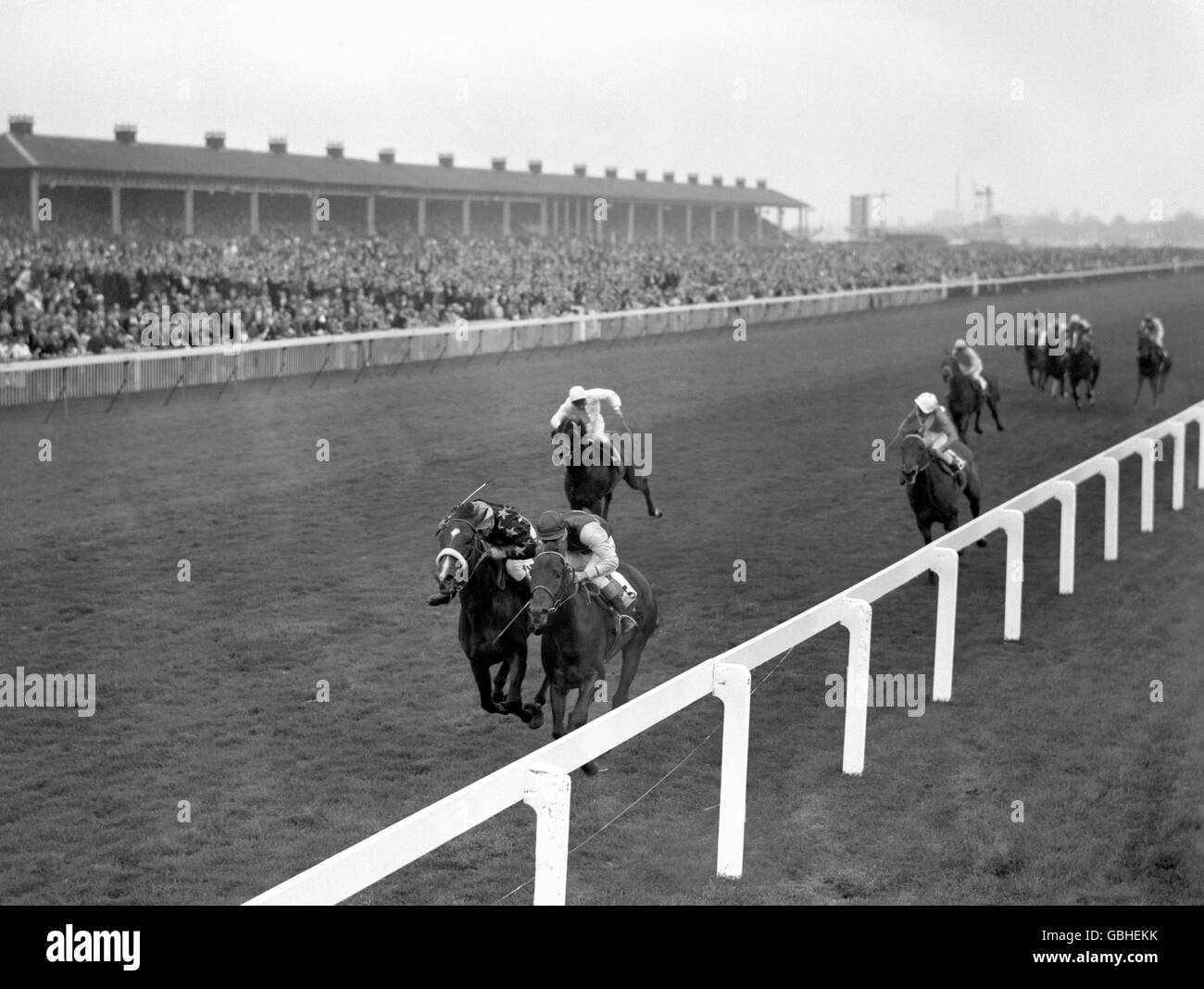 The finish of the St Leger won by Charles W. Engelhard's 'Indiana', with Jimmy Lindley up, right, by a hand from 'Patti', Willie Robinson up, and 'Soderini, Geoff Lewis up. Stock Photo