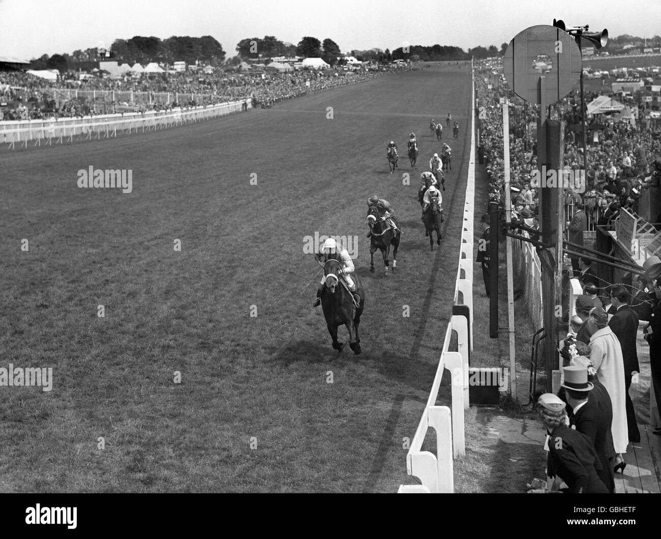The finish of the Oaks won by Lady Zia Wernher's 'Meld' Harry Carr up, from 'Ark Royal', Joe Mercer up, and 'Reel In', Scobie Breasley up. Stock Photo