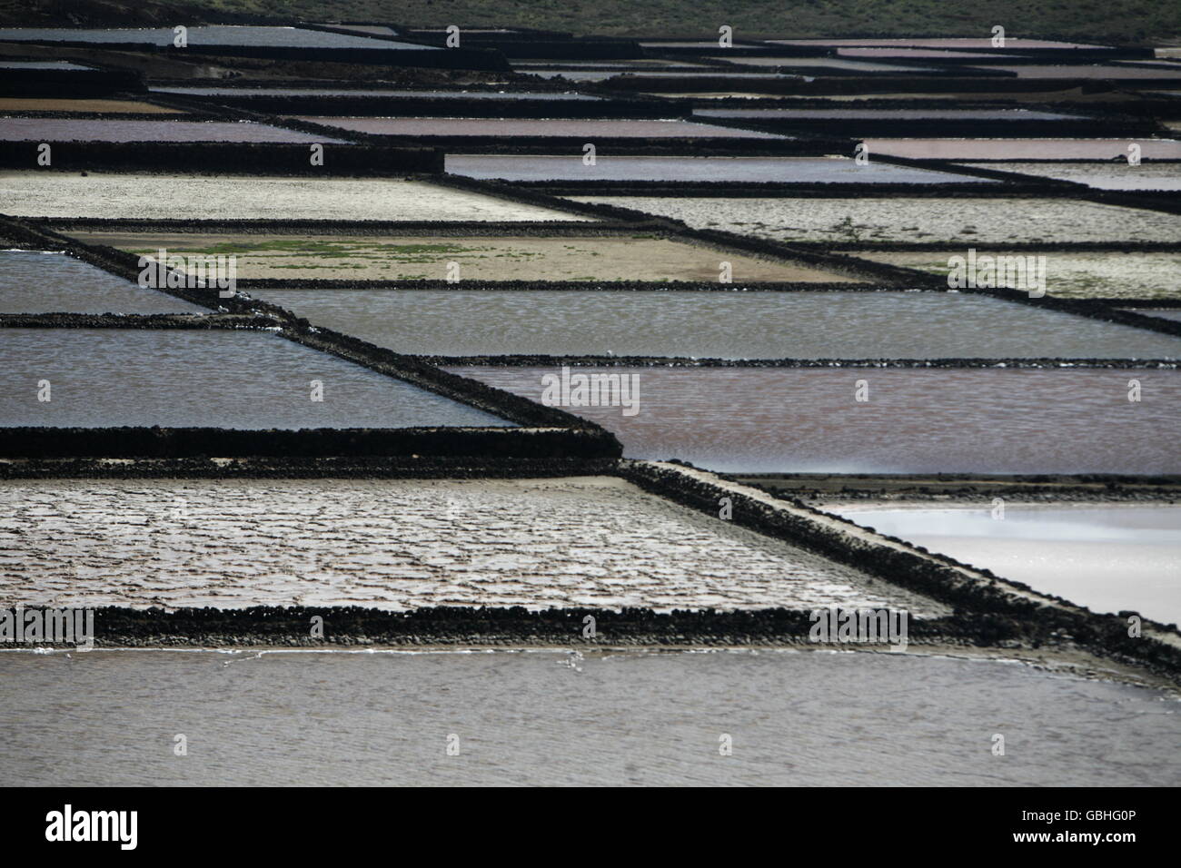 The Salinas in the Laguna of El Charco on the Island of Lanzarote on the Canary Islands of Spain