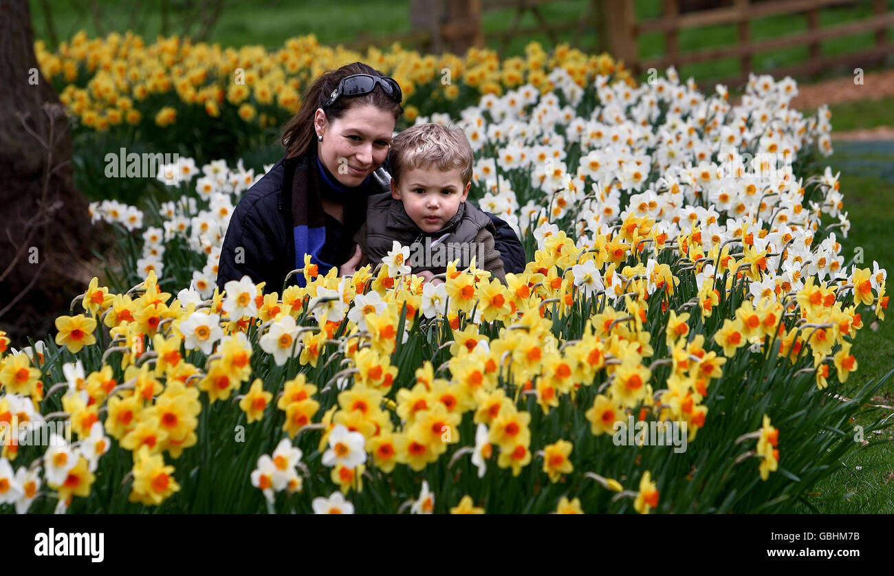 Throckmorton gardens Stock Photo 110412495 Alamy