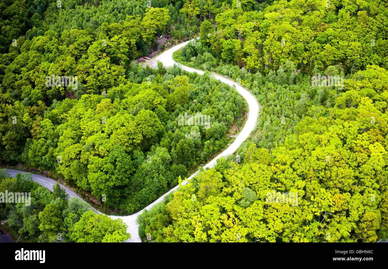 Aerial drone view of road twisting through forest Stock Photo