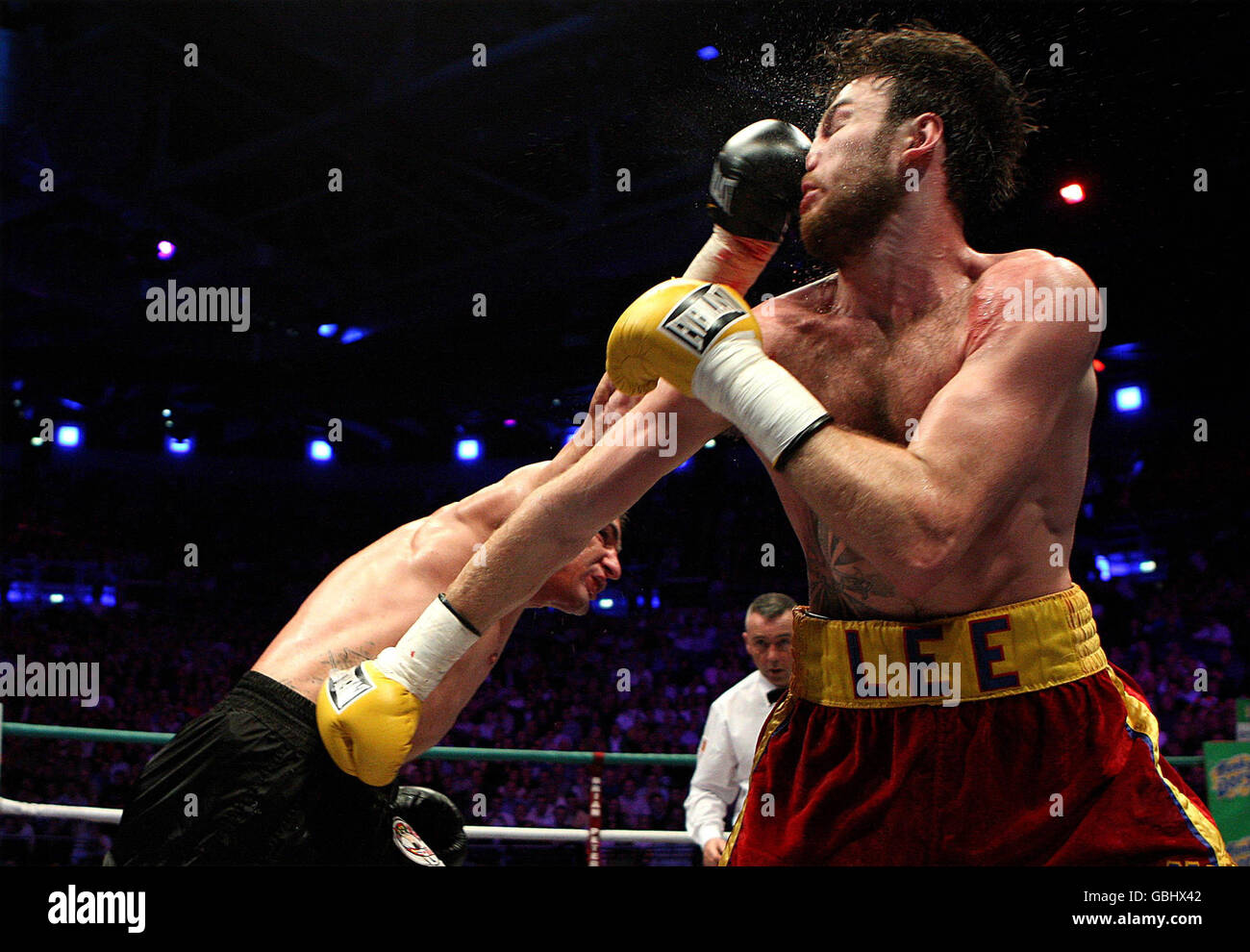 Boxing - Andy Lee v Alexander Sipos - Middleweight Bout - Dublin O2 Arena. Ireland's Andy Lee on his way to victory over Alexander Sipos in their Middleweight Bout at the O2 Arena in Dublin, Ireland. Stock Photo