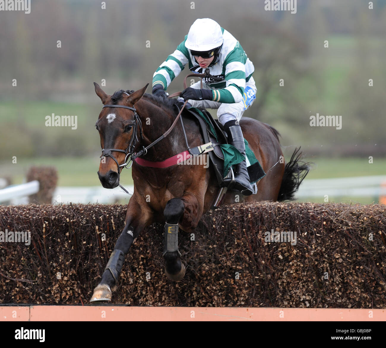 Horse Racing Towcester Racecourse Stock Photo Alamy