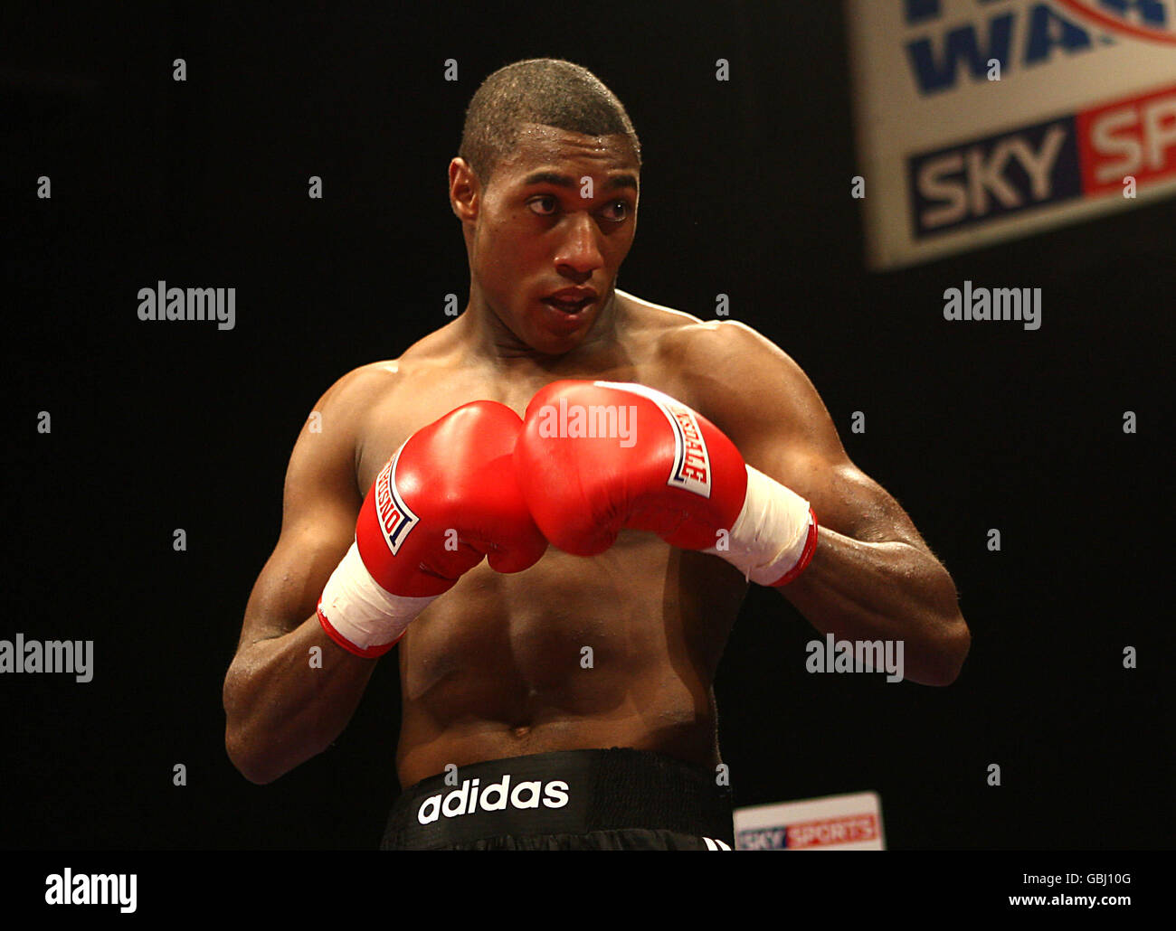 Boxing Commonwealth LightHeavyweight Championship Nathan Cleverly