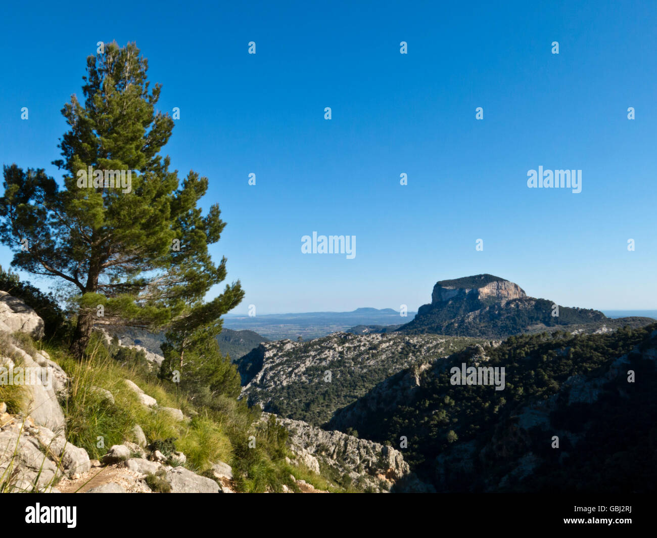 GR221 Mallorca Fernwanderweg zwischen Cuber Stausee und Refugi Tossals ...