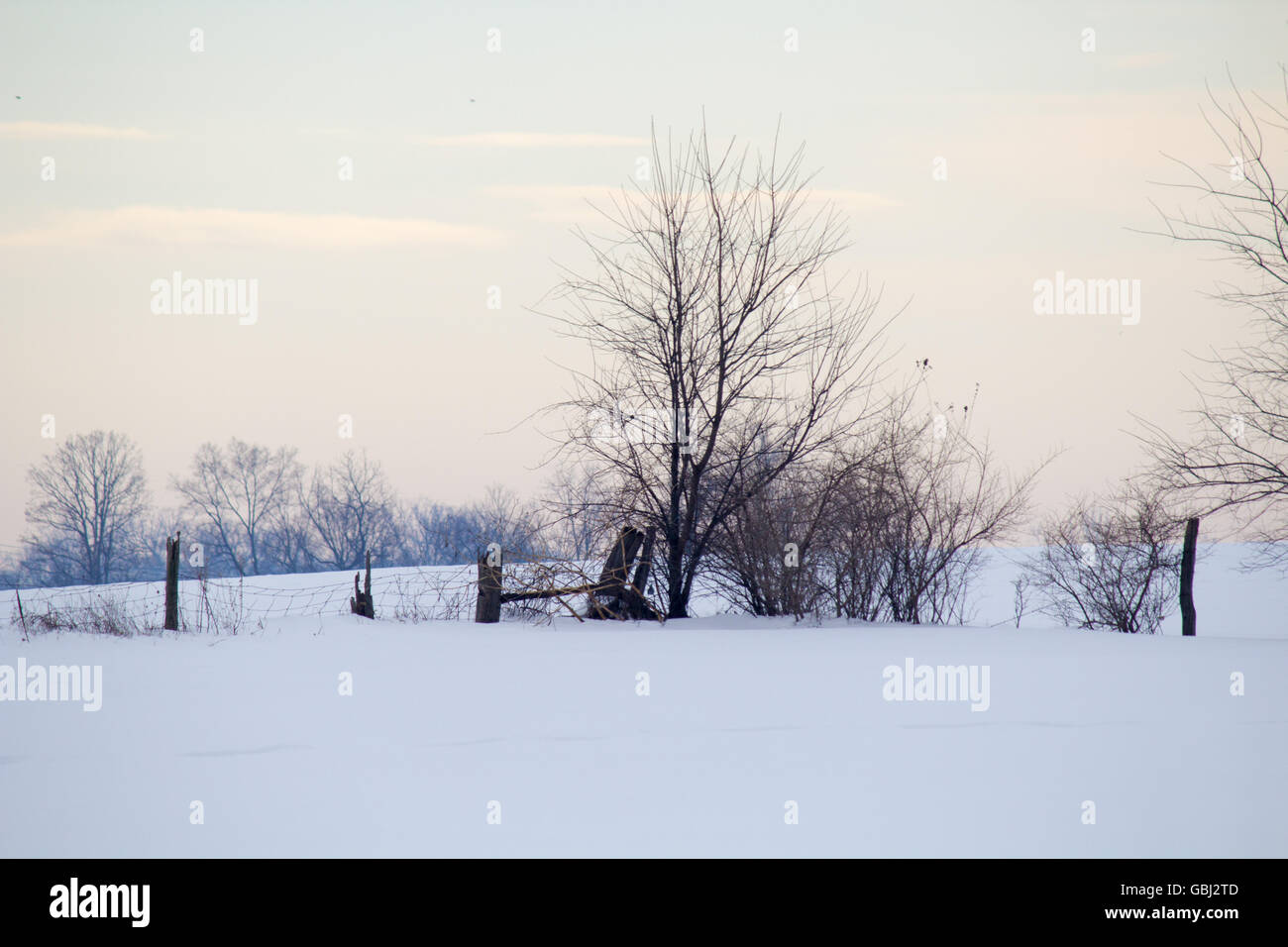 An urban field fencerow covered in snow after a storm. Stock Photo