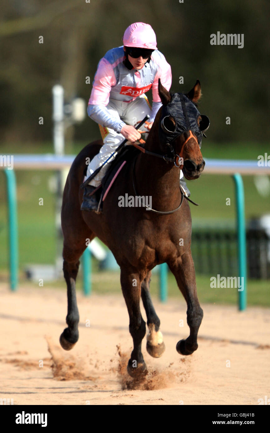 Fizzlephut ridden by Paul Fitzsimons prior to the freebets.co.uk Handicap World Hurdle Free Bets Stock Photo