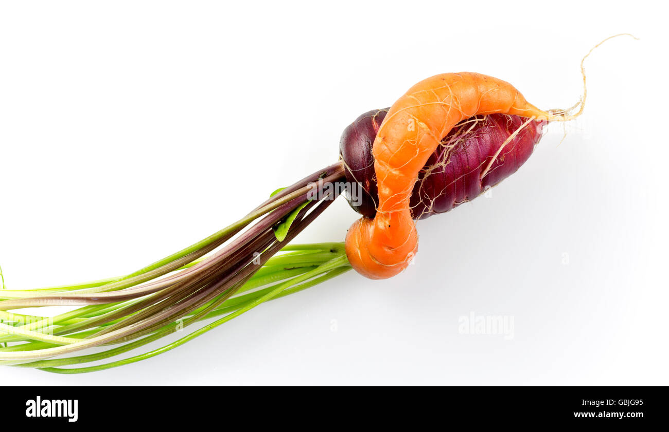 Red carrot hires stock photography and images Alamy