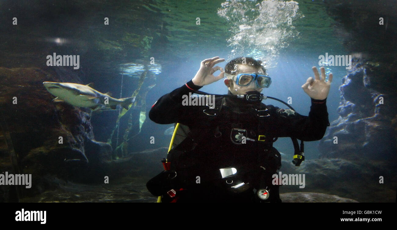 DJ Romeo swims with sharks. Radio DJ Romeo swims with sharks at Deep Sea World, North Queensferry, Scotland. Stock Photo