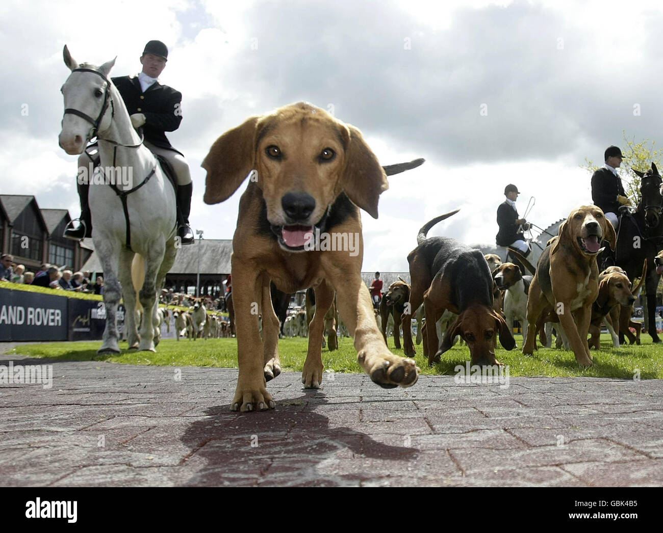 Punchestown racing hires stock photography and images Alamy